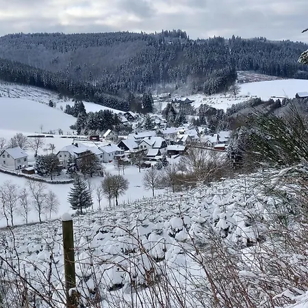 Rasche